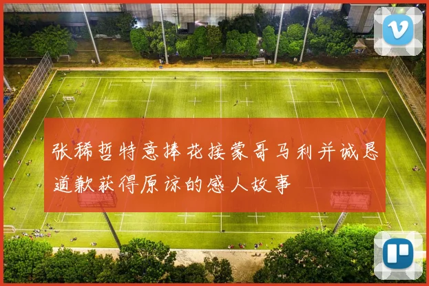 张稀哲特意捧花接蒙哥马利并诚恳道歉获得原谅的感人故事