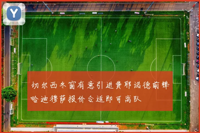 切尔西冬窗有意引进费耶诺德前锋哈迪穆萨报价合适即可离队