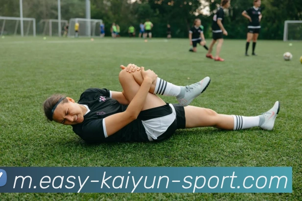 开云体育服务体系